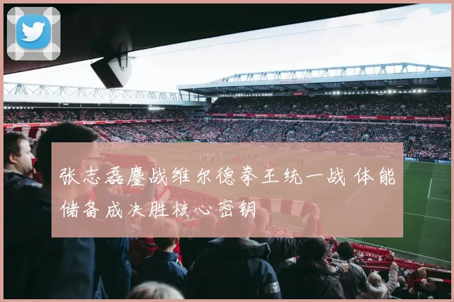 张志磊鏖战维尔德拳王统一战 体能储备成决胜核心密钥