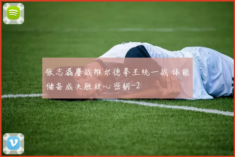 张志磊鏖战维尔德拳王统一战 体能储备成决胜核心密钥